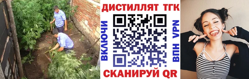 Дистиллят ТГК гашишное масло MEGA ссылки Олонец цена