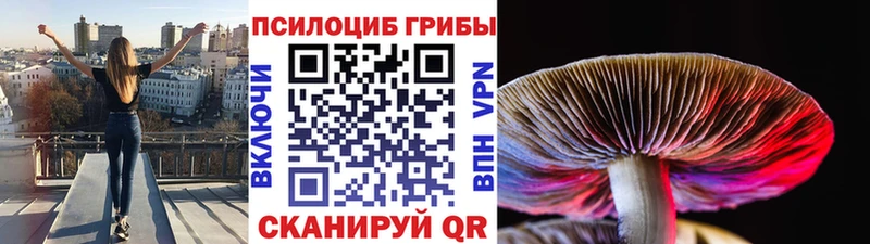 mega как зайти Олонец Галлюциногенные грибы ЛСД